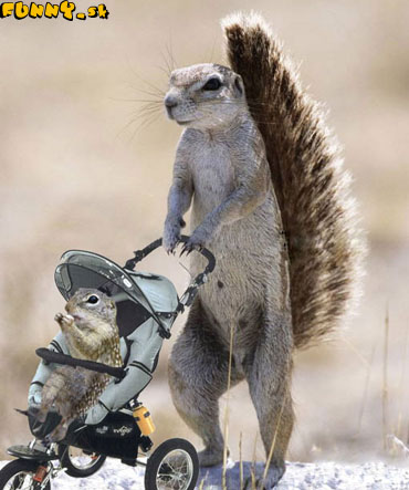 tady vidíte pilnou maminku!!
