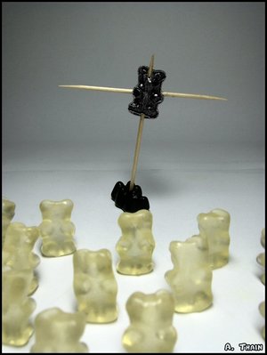 5505108.jpg